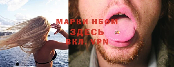 стаф Аркадак