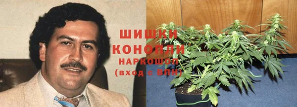 стаф Аркадак