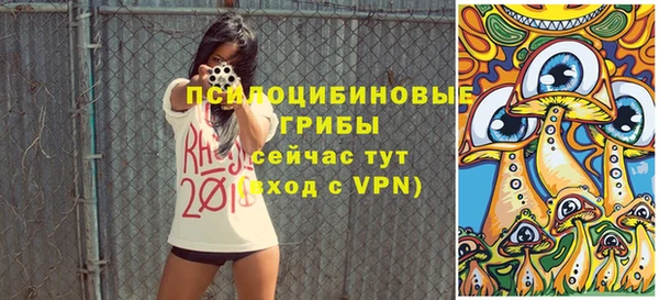 стаф Аркадак