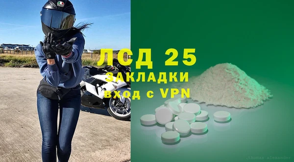 стаф Аркадак