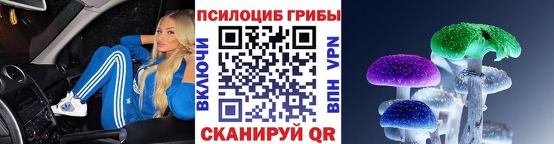 Галлюциногенные грибы Psilocybe  наркошоп  Армянск 